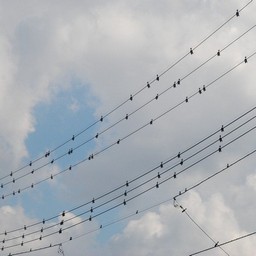 吉川市