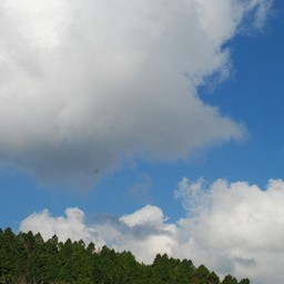 芦ノ湖・杓子峠