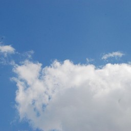川口市