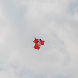 ひたちなか子・ひたち海浜公園
