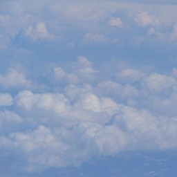 成田→新千歳便