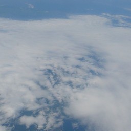 成田→新千歳便