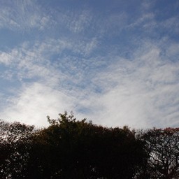川口市