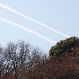 川口市