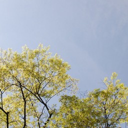 幸手市