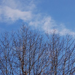 立川市