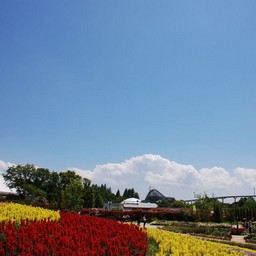 埼玉県宮代町・東武動物公園