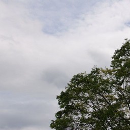 立川市・昭和記念公園