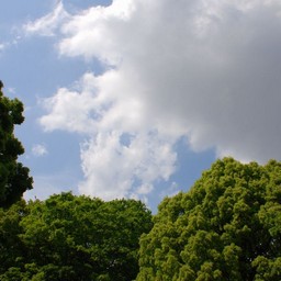 東京都台東区・不忍池