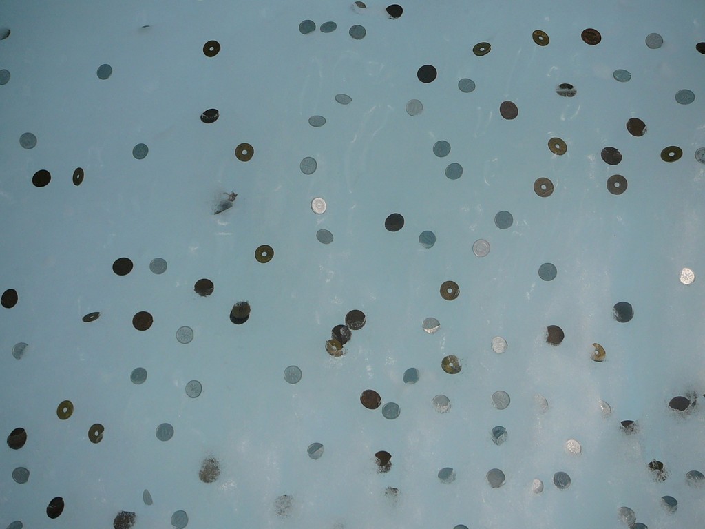 kCEx┌2007X܂ - ii{j - ʐ^f - ݃{