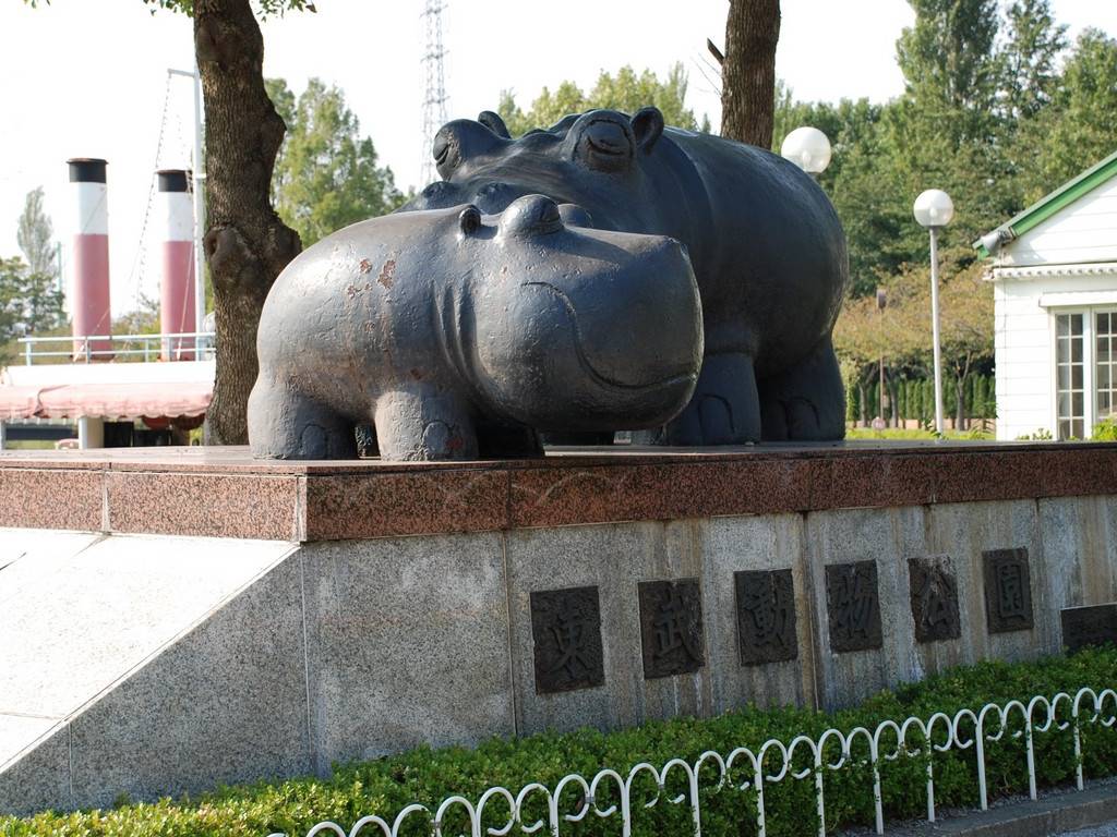 ʌ{㒬E - ii{j - ʐ^f - ݃{