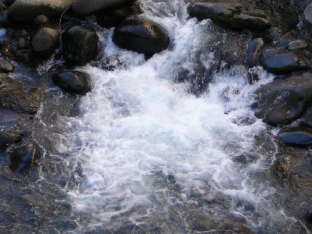 ÉɓECPEe - ii{j - ʐ^f - ݃{