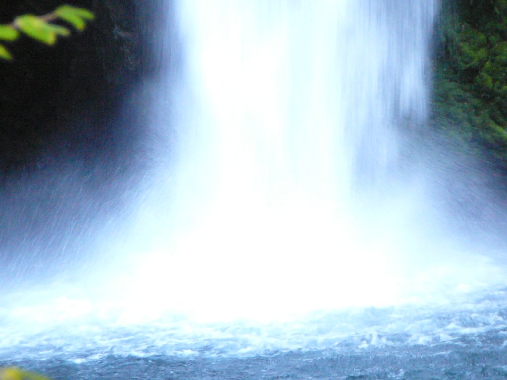 ÉɓE@̑ - ii{j - ʐ^f - ݃{