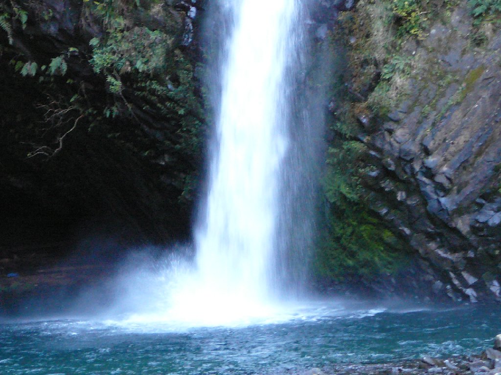 ÉɓE@̑ - ii{j - ʐ^f - ݃{