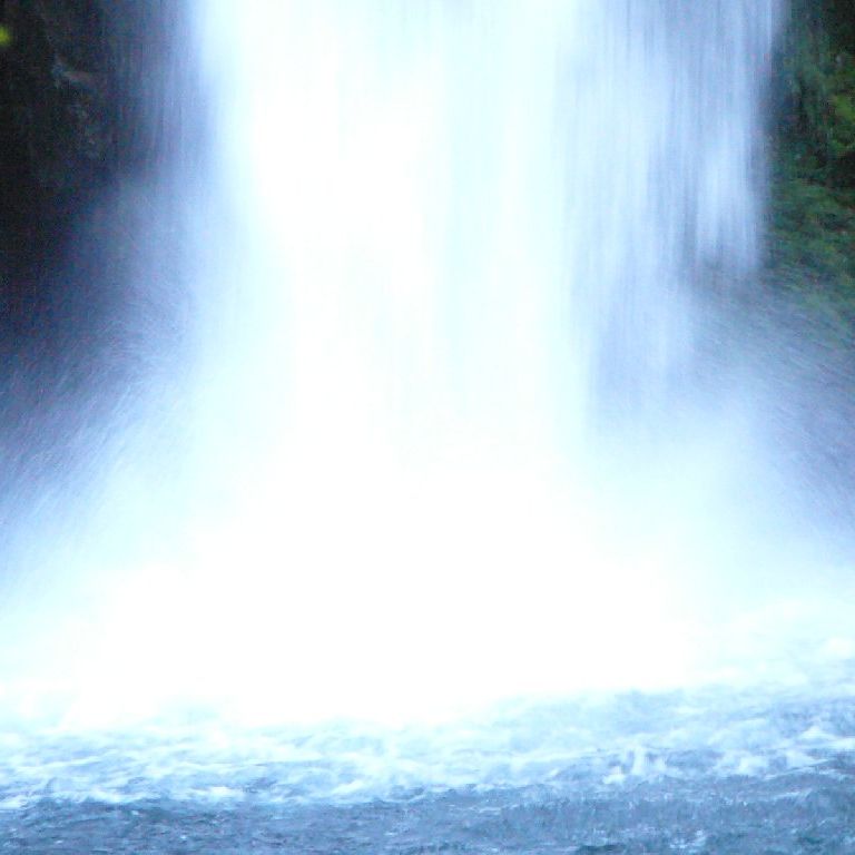 ÉɓE@̑ - ii{j - ʐ^f - ݃{
