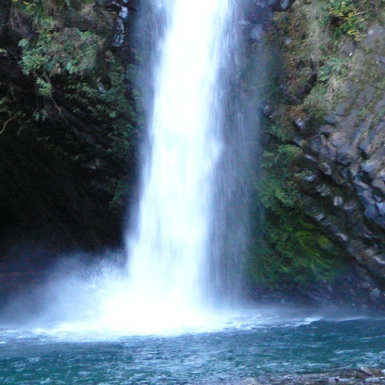 ÉɓE@̑ - ii{j - ʐ^f - ݃{