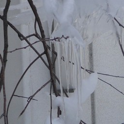 北海道・支笏湖