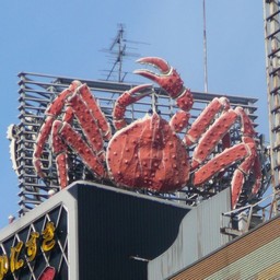 札幌市・かに処