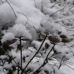 北海道安平町・雪景色