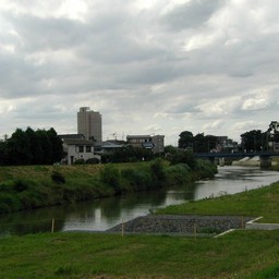越谷市・市役所付近