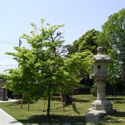 越谷市・花田苑
