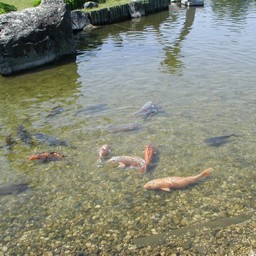 越谷市・花田苑