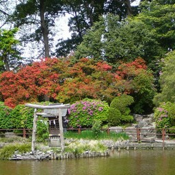 越谷市・久伊豆神社