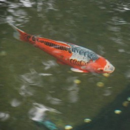 東京都・浅草・浅草寺