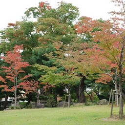 郡山市・麓山公園