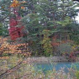 北塩原村・五色沼