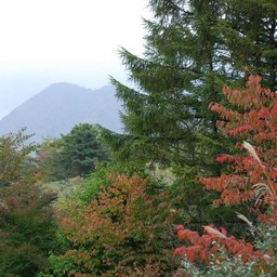 北塩原村・五色沼