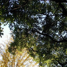 倉敷市・チボリ公園