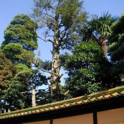 倉敷市・町並み