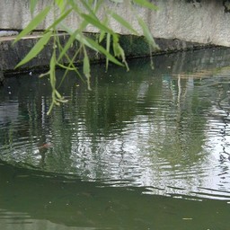 倉敷市・町並み
