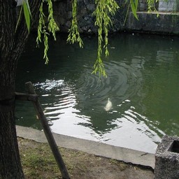 倉敷市・町並み