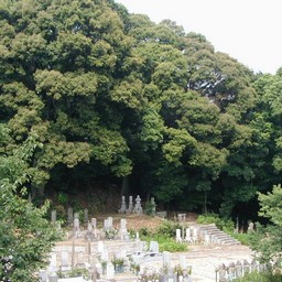 岡崎市