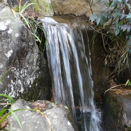 修善寺・虹の里