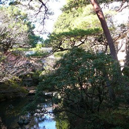 修善寺温泉・菊屋旅館