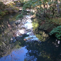 修善寺温泉・菊屋旅館