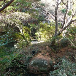 修善寺温泉・菊屋旅館