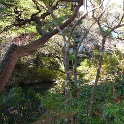 修善寺温泉・菊屋旅館
