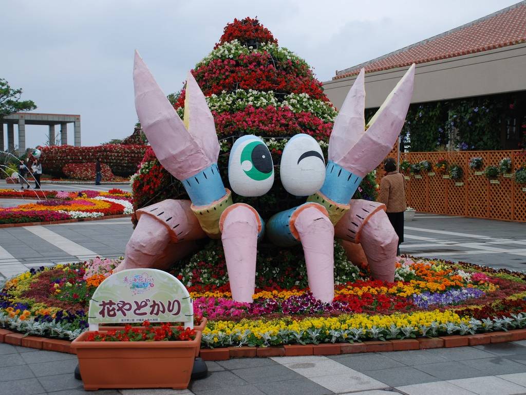ꌧ{ELOEԂǂ - ii{j - ʐ^f - ݃{