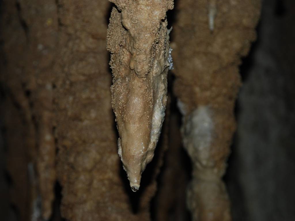 ꌧsEȂ탏[hEʐ - ii{j - ʐ^f - ݃{