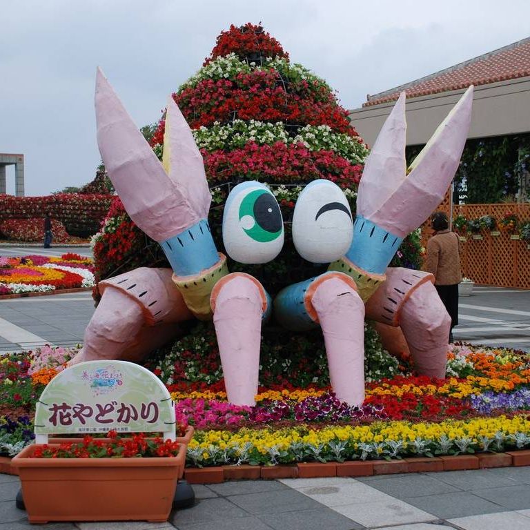ꌧ{ELOEԂǂ - ii{j - ʐ^f - ݃{