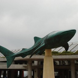 沖縄県・沖縄記念公園