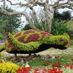 沖縄県・沖縄記念公園