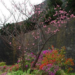 沖縄県・首里城
