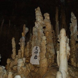 沖縄県・おきなわワールド