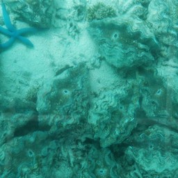 石垣島・川平湾