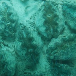 石垣島・川平湾